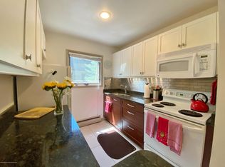700 W Hopkins Ave #2, Aspen, CO 81611