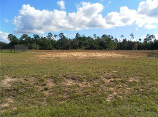 1100 Nelson Meadow Ln, Poinciana, FL 34759