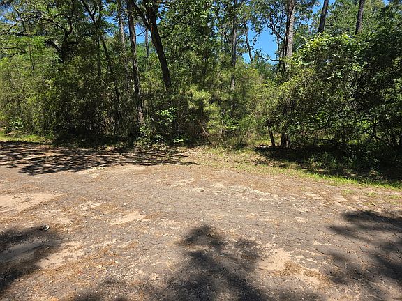 4th image of 9102 Blue Lake Dr