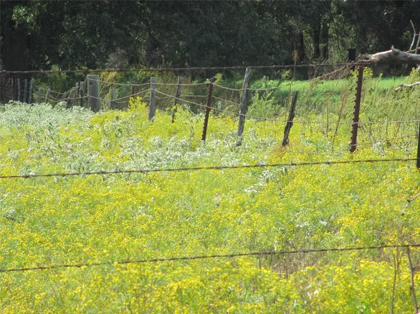 934 Fm, Blum, TX 76627