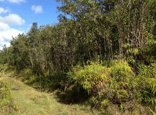 Road 2 LOT 2967, Mountain View, HI 96771