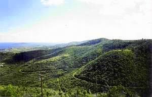 Sloaping Hillside