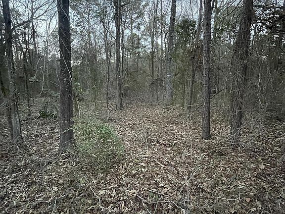 5th image of County Road 2182
