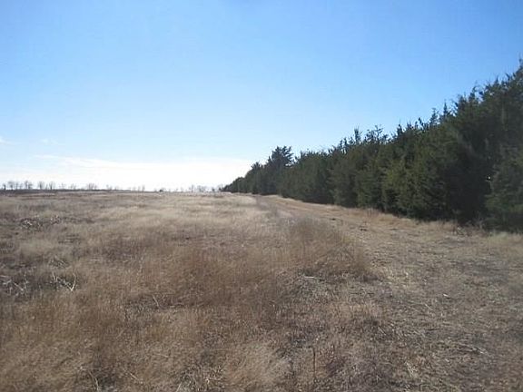 2nd image of 3523 County Road 1114