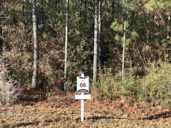 66 Straw Bridge Rd, Jay, FL 32565