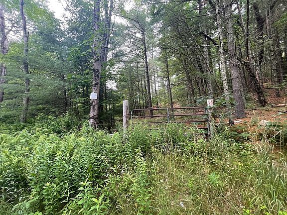 5th image of 89 Robinson Rd