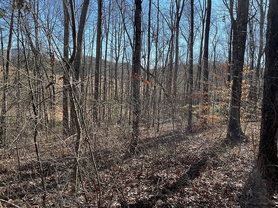 1st image of 12 E The Woodlands