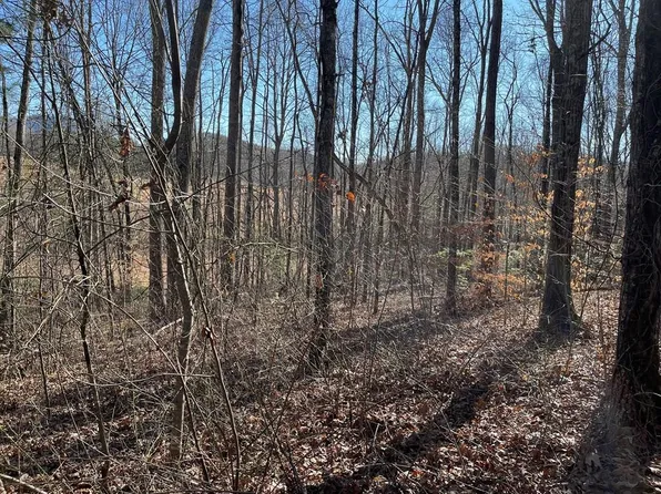 LOT 12-12E The Woodlands, Hayesville, NC 28904