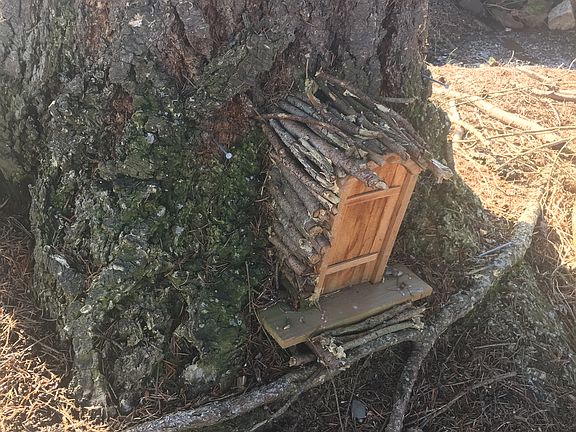 Tree Gnome Cabin included