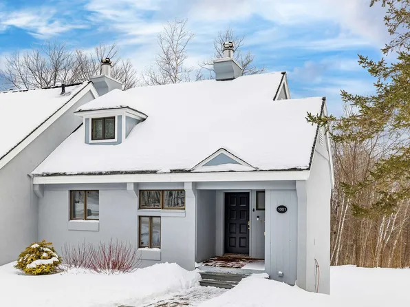 45 Styles Branch Road #1001, Stratton, VT 05155
