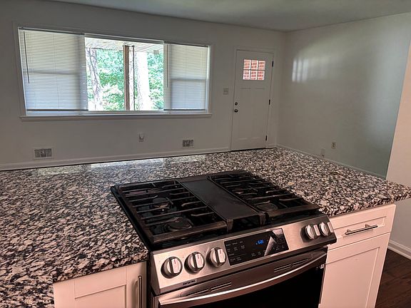 Stainless steel gas stove