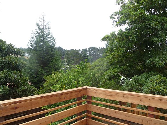 View from Deck