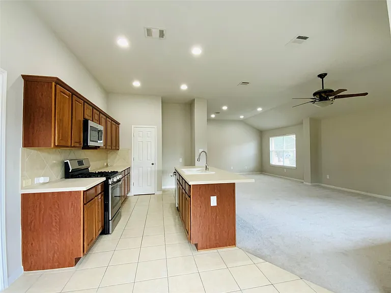 18704 Silent Water Way — Photo 12