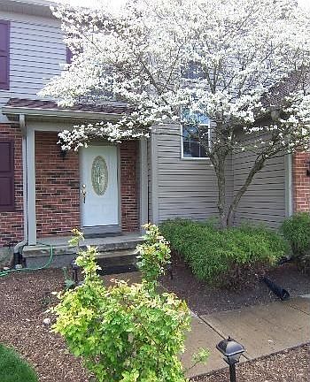 5th image of 3497 Apple Grove Dr