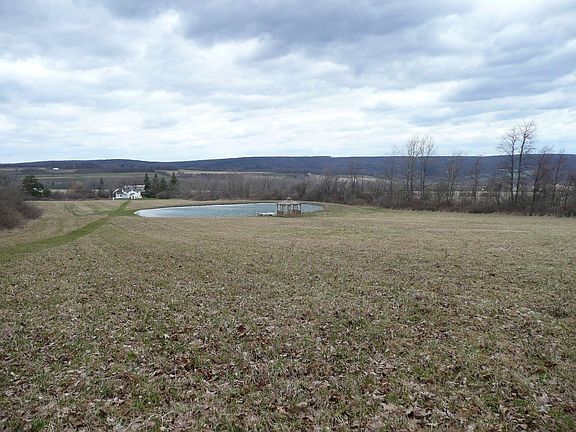 pond,field,view