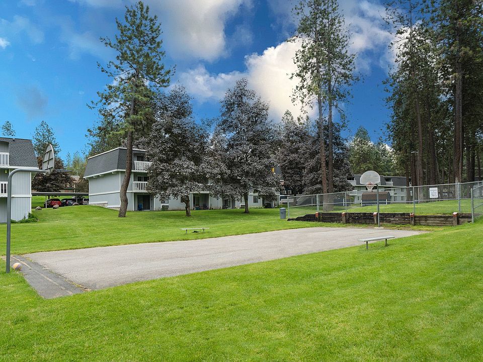 Basketball Court
