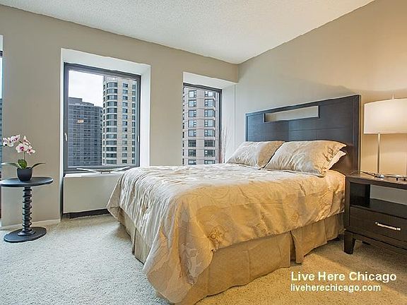 5th image of 440 E Erie St #2701