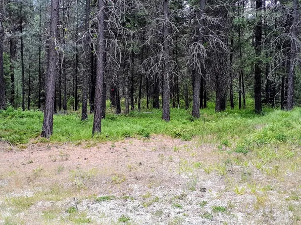 4XX Couples Pl, Chewelah, WA 99109