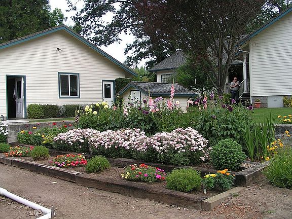 Back of house from garden
