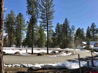 62 Mill Creek Ct, Durango, CO 81301