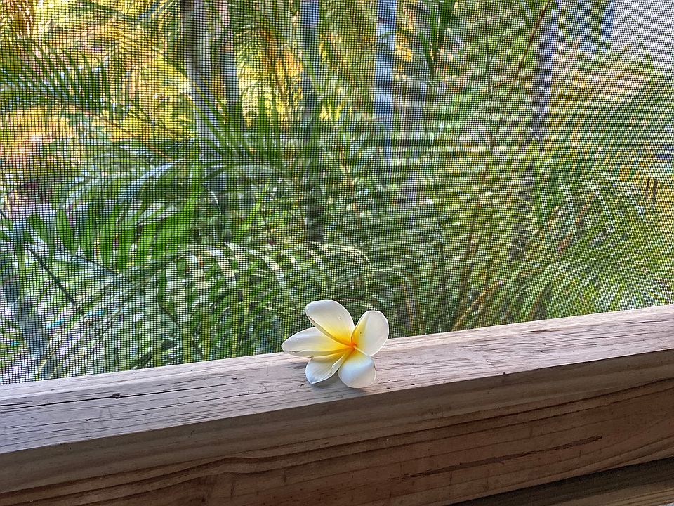 Sunset view sitting in the Florida room
