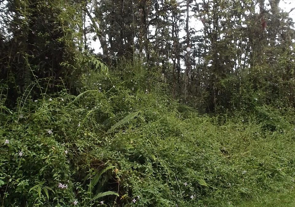 2nd image of Hawaii Rd Lot 768