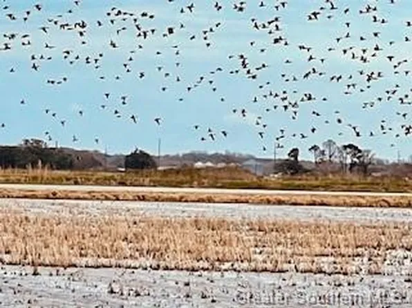 245 Bean Rd, Gueydan, LA 70542