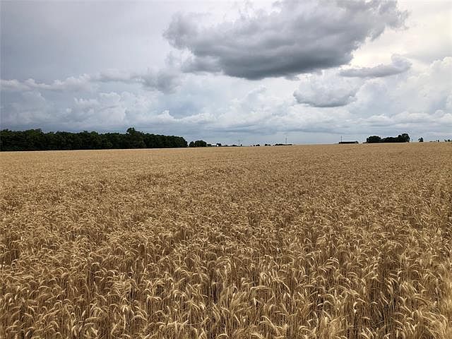 2nd image of County Road 4850