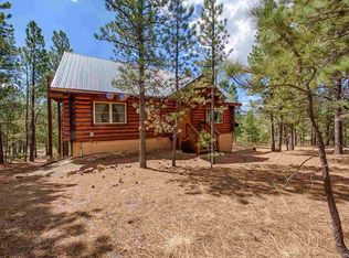22 Lower Rd, Angel Fire, NM 87710