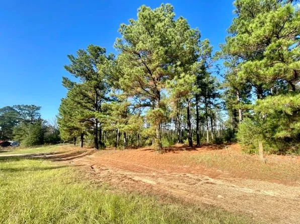 1407 Miller Country #3, Doddridge, AR 71834