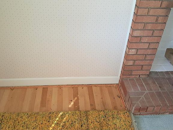 Beautiful hardwoods
