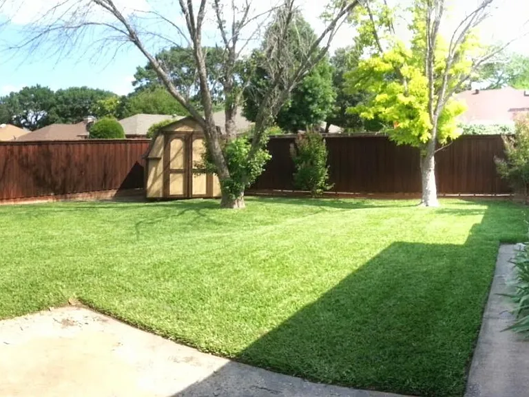 backyard
