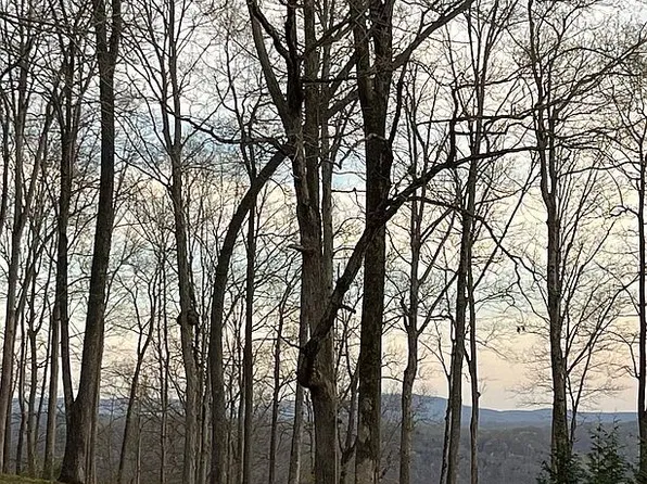 230 Storyland Ln, Byrdstown, TN 38549