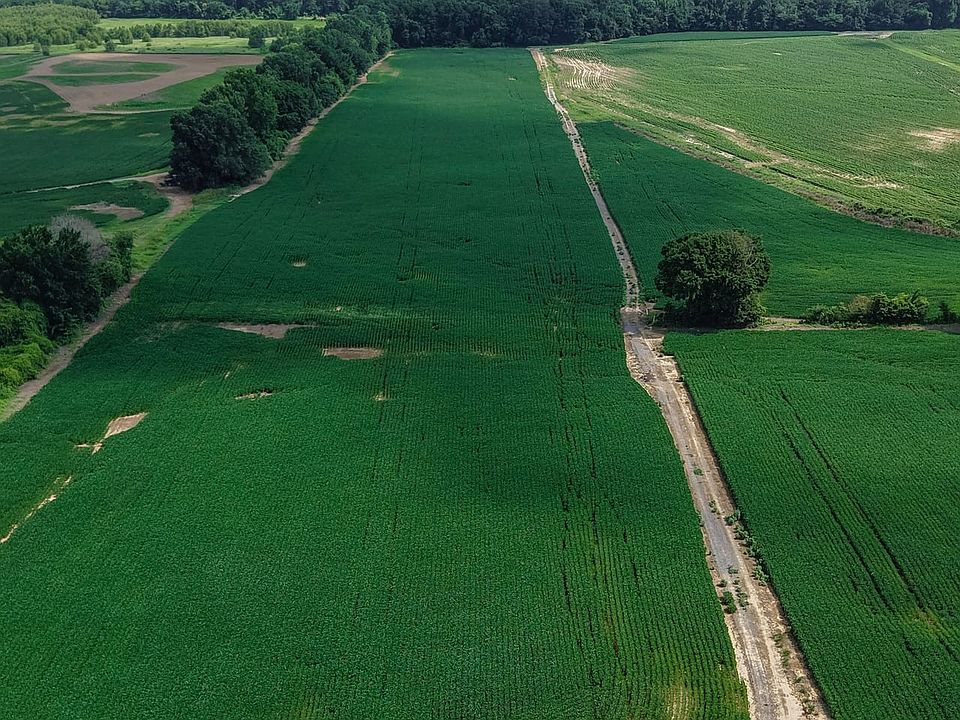 1 Dji Fly 20260707 103110 0411 1783555954634 Photo