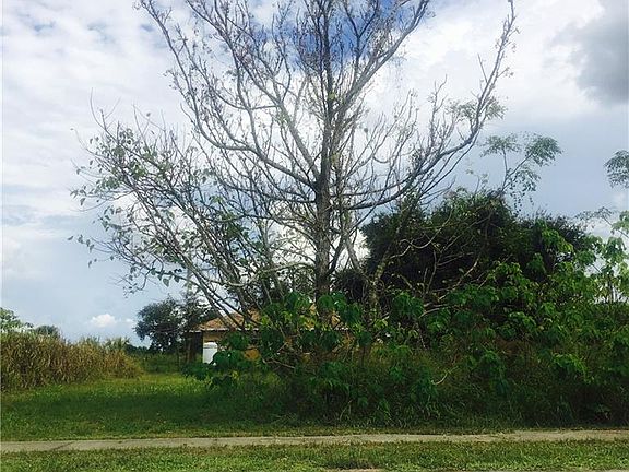 4th image of 16971 1st St Lot 10