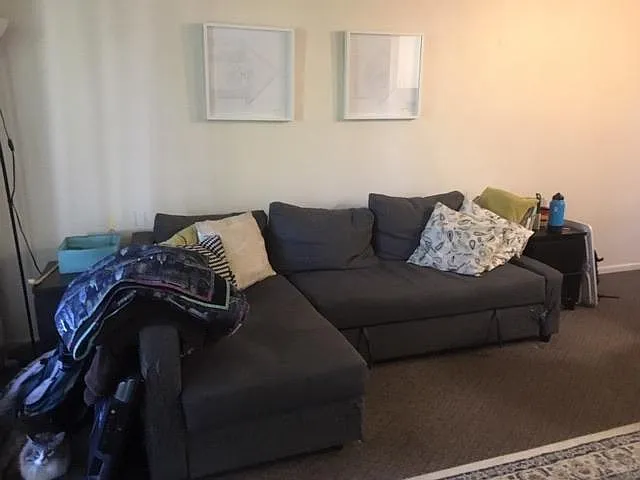 Open living room, abundant natural light.