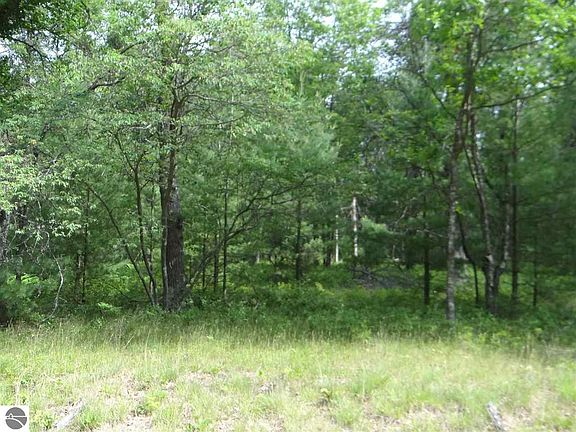 2nd image of 0 Jackpine Trl