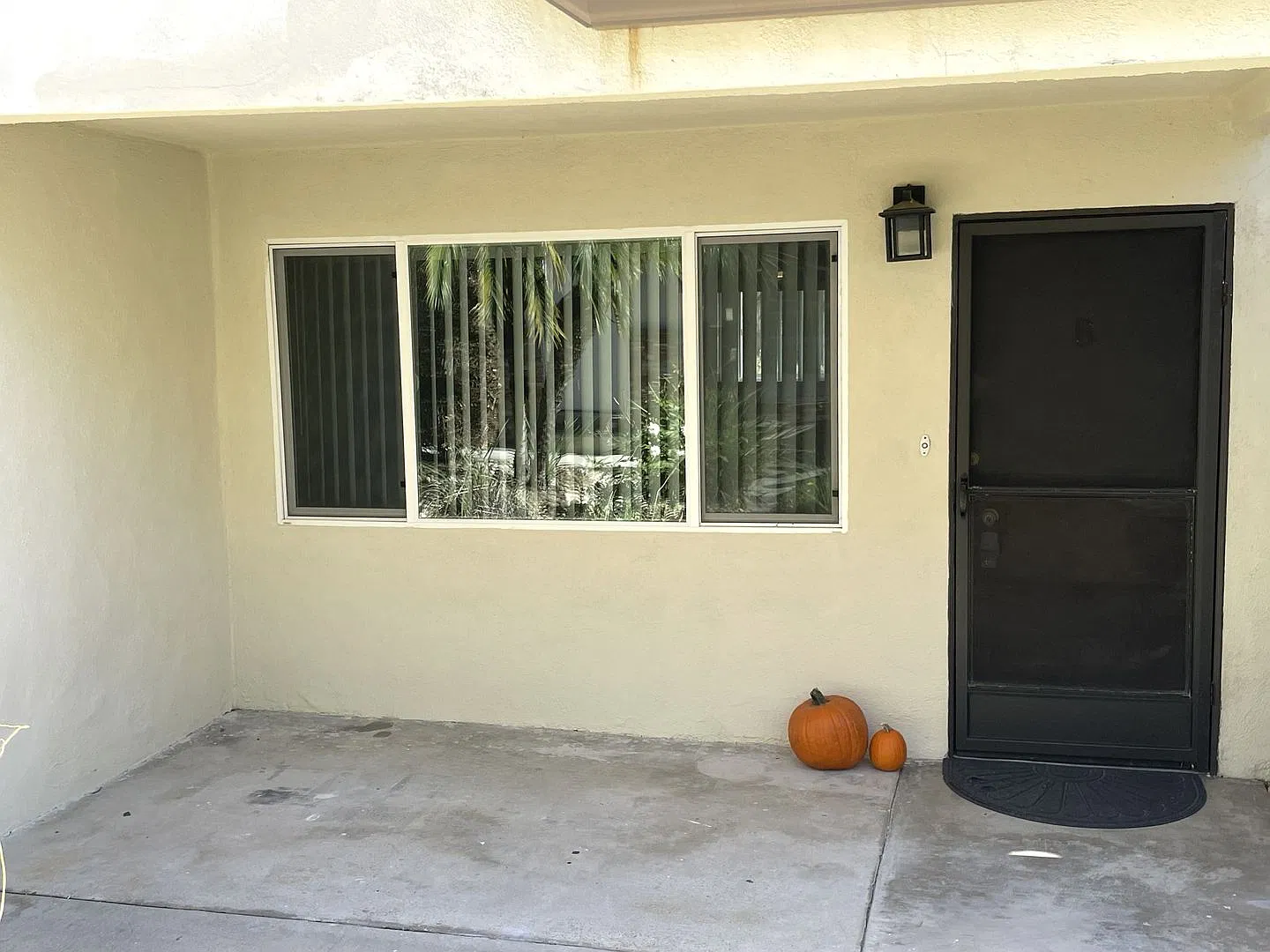 1209 Amethyst Street — Photo 3