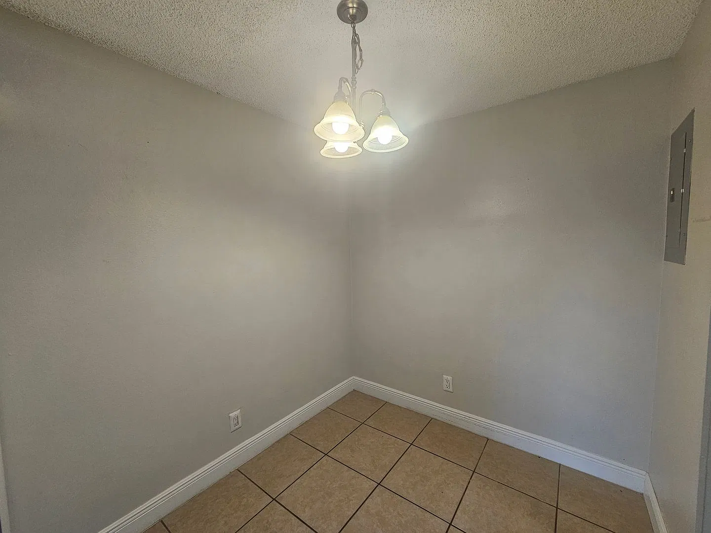 Cute & Affordable Large 1 Bedroom / 1 Bath (Winter Park) — Photo 4
