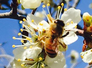 6521 Saint Vrain Rd, Longmont, CO 80503