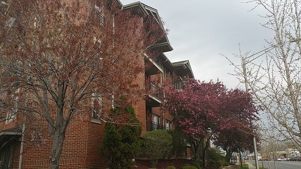 1st image of 4560 Southwest Hwy APT 4C