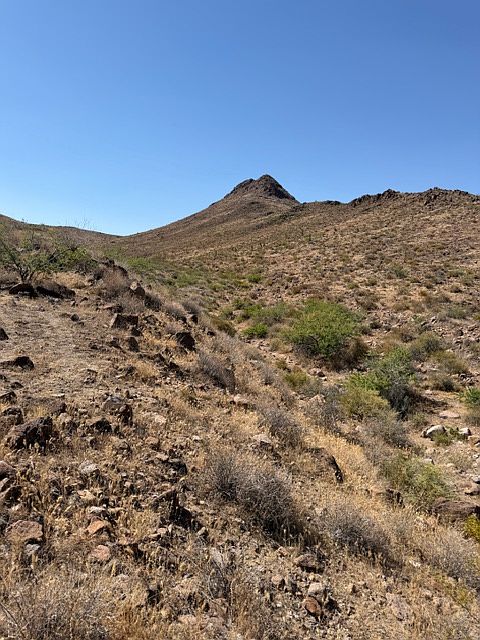 2nd image of 340-01-015 Hermit Drive