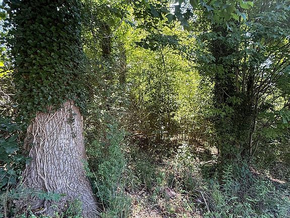 5th image of 1978 Garden Dr