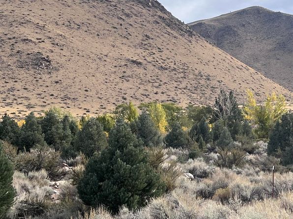 10 Mill Creek Dr, Coleville, CA 96107