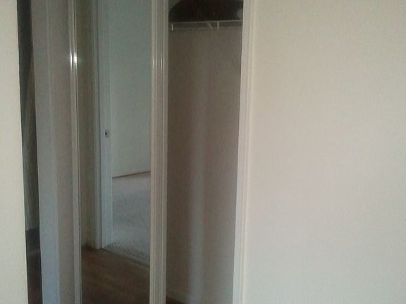 Hall Way Mirrored Closet