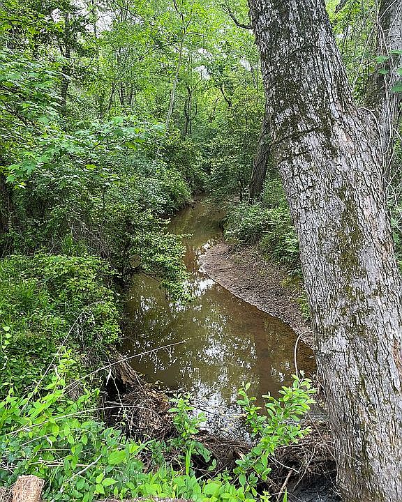 1st image of 291 County Road 3430