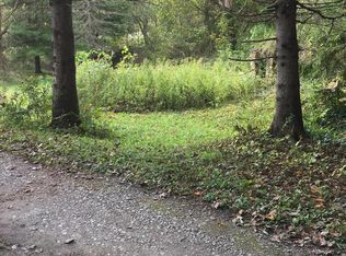 103 Phoenix Rd, Gaines, PA 16921