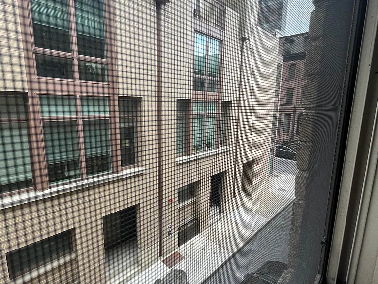 Bedroom view overlooking Van Pelt St.