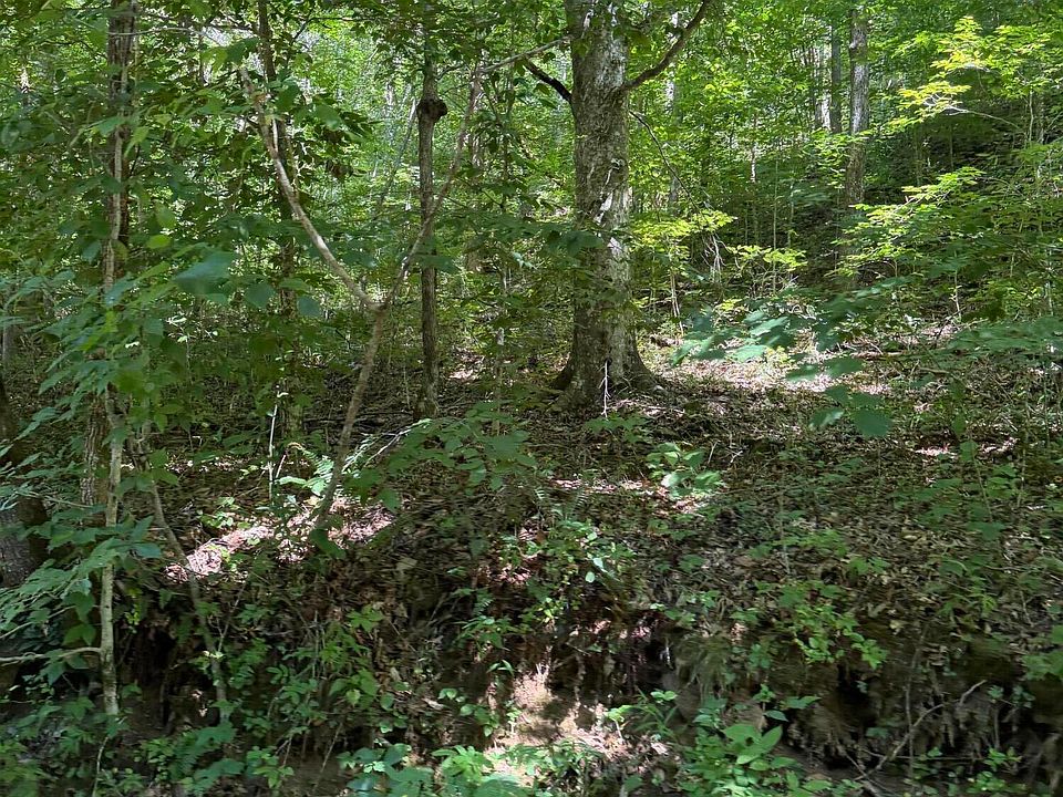 1st image of 370 Roaring Fork Rd