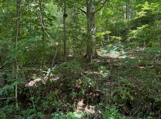 370 Roaring Fork Rd, Walker, KY 40997